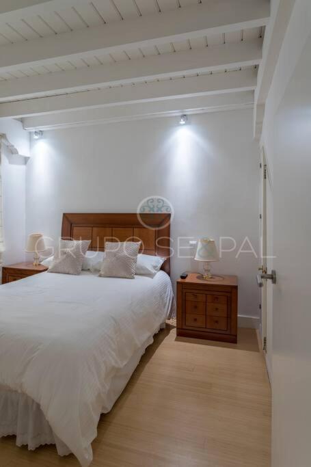 Vakantiehuis Ad10 Full House Near Cathedral By Antonia Diaz Street