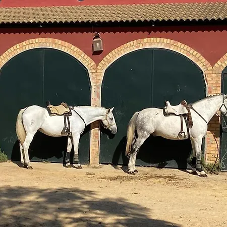 Ad10 Full House Near Cathedral By Antonia Diaz Street Villa Sevilla Buitenkant foto